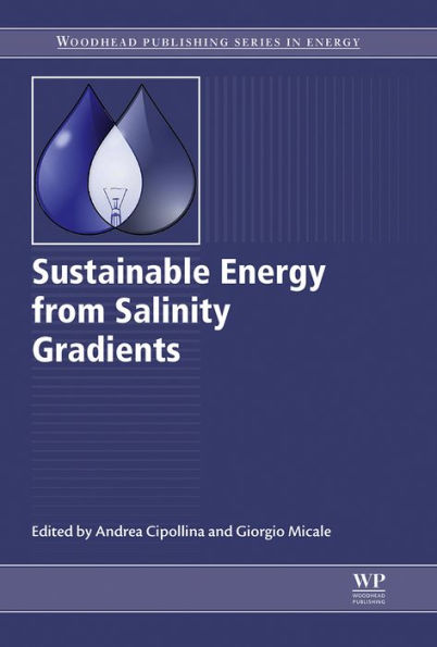 Sustainable Energy from Salinity Gradients