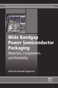 Title: Wide Bandgap Power Semiconductor Packaging: Materials, Components, and Reliability, Author: Katsuaki Suganuma