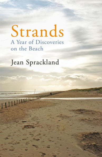 Strands: A Year of Discoveries on the Beach