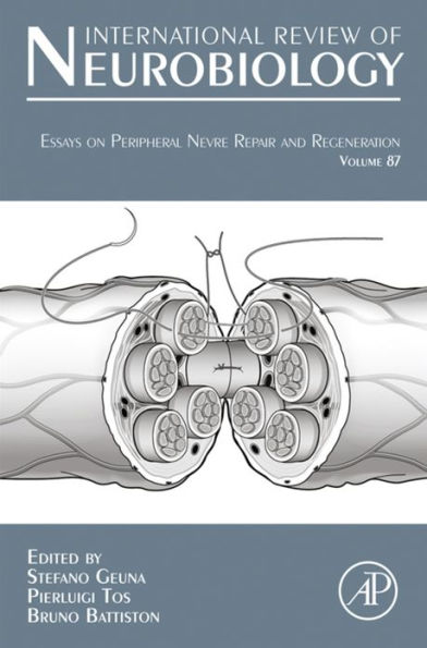 Essays on Peripheral Nerve Repair and Regeneration