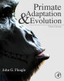Primate Adaptation and Evolution