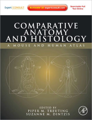 Comparative Anatomy And Histology A Mouse And Human Atlas