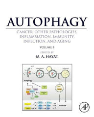 Title: Autophagy: Cancer, Other Pathologies, Inflammation, Immunity, Infection, and Aging: Volume 3 - Role in Specific Diseases, Author: M. A. Hayat