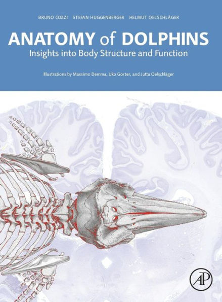 Anatomy of Dolphins: Insights into Body Structure and Function