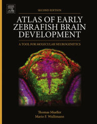 Title: Atlas of Early Zebrafish Brain Development: A Tool for Molecular Neurogenetics, Author: Dr. Thomas Mueller