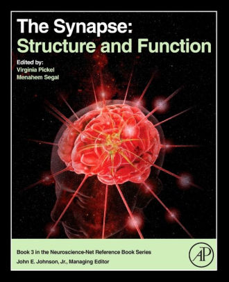 The Synapse Structure And Functionhardcover - 