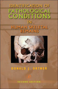 Title: Identification of Pathological Conditions in Human Skeletal Remains / Edition 2, Author: Donald J. Ortner