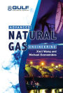 Advanced Natural Gas Engineering