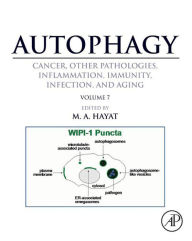 Title: Autophagy: Cancer, Other Pathologies, Inflammation, Immunity, Infection, and Aging: Volume 7- Role of Autophagy in Therapeutic Applications, Author: M. A. Hayat