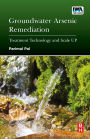 Groundwater Arsenic Remediation: Treatment Technology and Scale UP