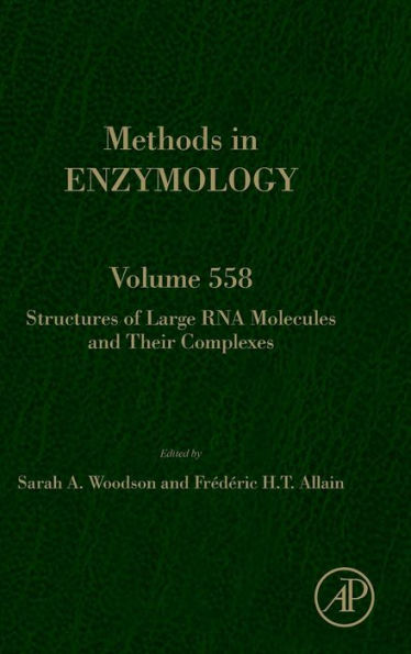 Structures of Large RNA Molecules and Their Complexes