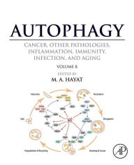 Title: Autophagy: Cancer, Other Pathologies, Inflammation, Immunity, Infection, and Aging: Volume 8- Human Diseases, Author: M. A. Hayat