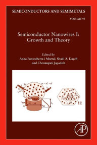 Title: Semiconductor Nanowires I: Growth and Theory, Author: Elsevier Science