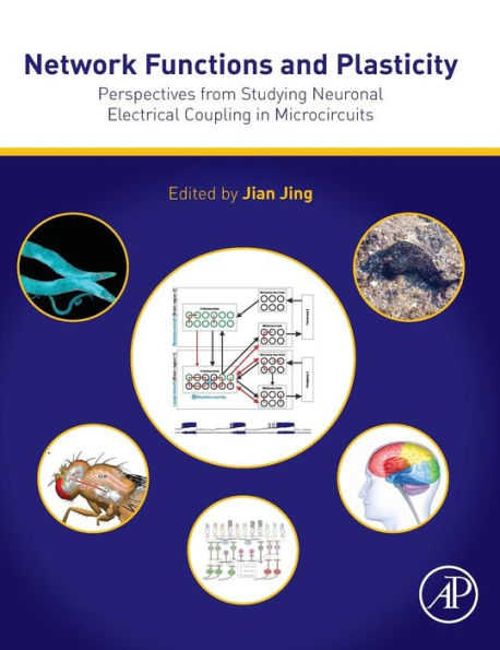 Network Functions and Plasticity: Perspectives from Studying Neuronal Electrical Coupling in Microcircuits