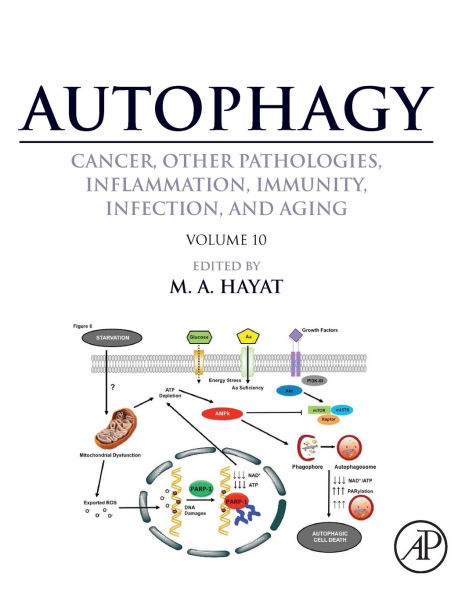 Autophagy: Cancer, Other Pathologies, Inflammation, Immunity, Infection, and Aging: Volume 10