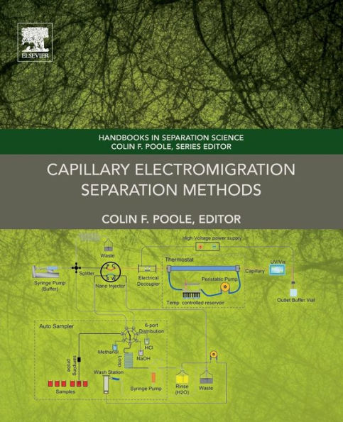 Capillary Electromigration Separation Methods
