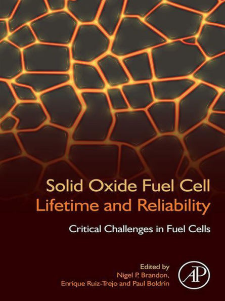 Solid Oxide Fuel Cell Lifetime and Reliability: Critical Challenges in Fuel Cells
