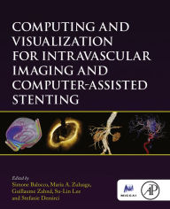 Title: Computing and Visualization for Intravascular Imaging and Computer-Assisted Stenting, Author: Simone Balocco