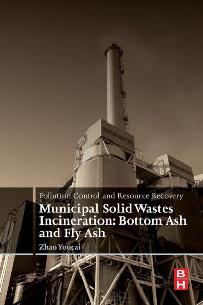 Pollution Control and Resource Recovery: Municipal Solid Wastes Incineration: Bottom Ash and Fly Ash