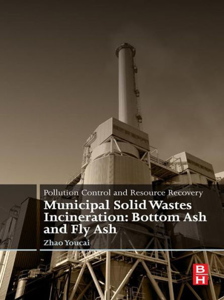 Pollution Control and Resource Recovery: Municipal Solid Wastes Incineration: Bottom Ash and Fly Ash