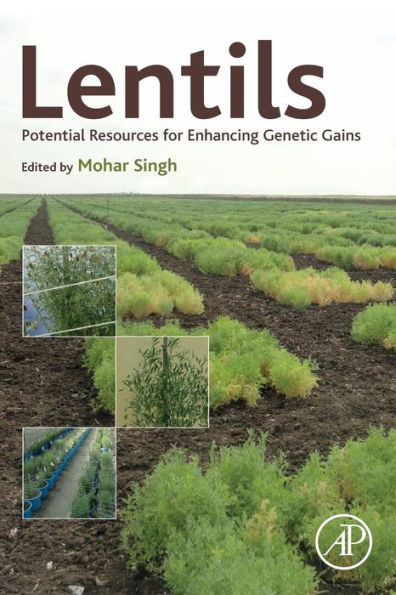 Lentils: Potential Resources for Enhancing Genetic Gains