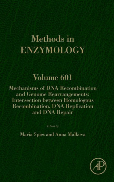 Mechanisms of DNA Recombination and Genome Rearrangements: Intersection Between Homologous Recombination, DNA Replication and DNA Repair
