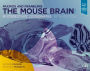 Paxinos and Franklin's the Mouse Brain in Stereotaxic Coordinates / Edition 5