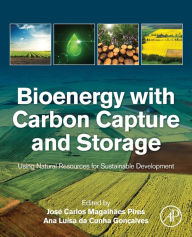 Title: Bioenergy with Carbon Capture and Storage: Using Natural Resources for Sustainable Development, Author: José Carlos Magalhães Pires PhD