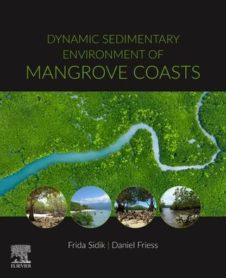 Dynamic Sedimentary Environments of Mangrove Coasts