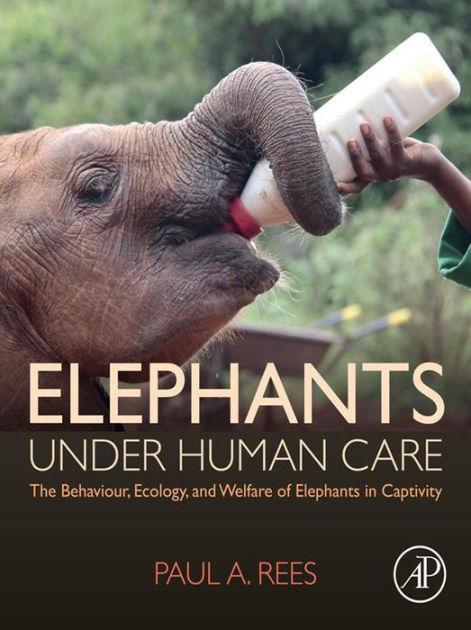 Elephants Under Human Care: The Behaviour, Ecology, and Welfare of ...