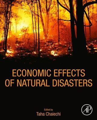 Economic Effects of Natural Disasters: Theoretical Foundations, Methods, and Tools