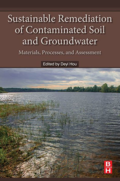 Sustainable Remediation of Contaminated Soil and Groundwater: Materials, Processes, and Assessment