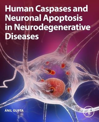 Human Caspases and Neuronal Apoptosis Neurodegenerative Diseases