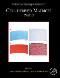 Title: Cell-Derived Matrices Part B, Author: David Caballero