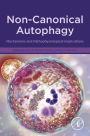 Non-Canonical Autophagy: Mechanisms and Pathophysiological Implications