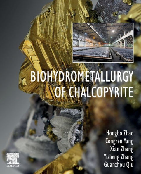 Biohydrometallurgy of Chalcopyrite