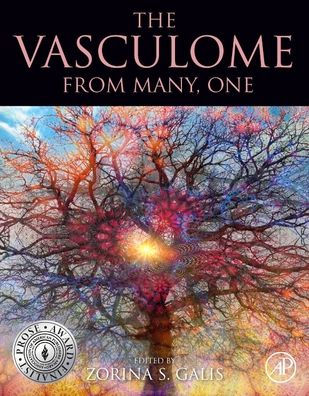 The Vasculome: From Many, One