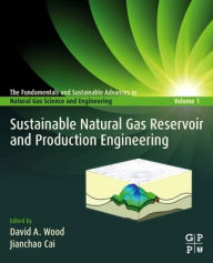 Title: Sustainable Natural Gas Reservoir and Production Engineering, Author: David Wood