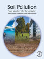 Soil Pollution: From Monitoring to Remediation