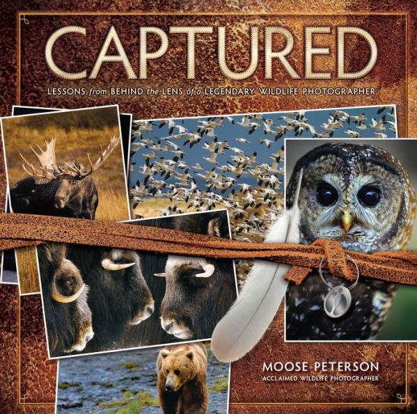 Captured: Lessons from Behind the Lens of a Legendary Wildlife Photographer