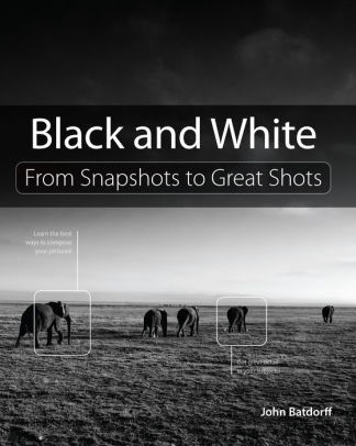 Black And White From Snapshots To Great Shotsnook Book - 