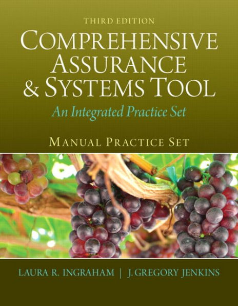 Comprehensive Assurance & Systems Tool (CAST): An Integrated Practice Set - Manual Practice Set / Edition 3