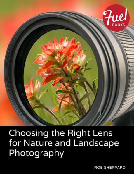 Choosing the Right Lens for Nature and Landscape Photography