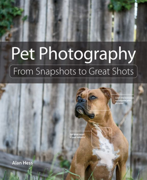 Pet Photography: From Snapshots to Great Shots