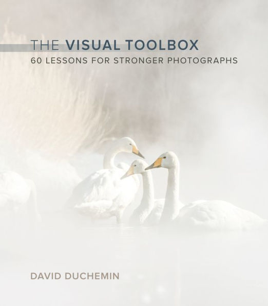 Visual Toolbox, The: 60 Lessons for Stronger Photographs