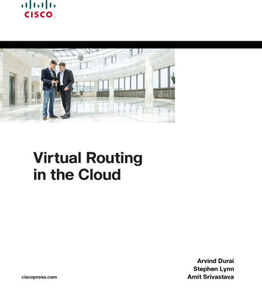 Virtual Routing in the Cloud