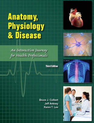 Anatomy Physiology And Disease An Interactive Journey