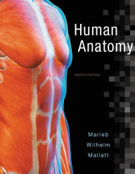 Books and magazines free download Human Anatomy