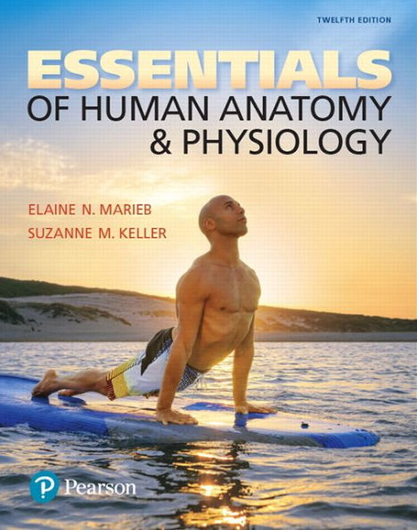 Essentials of Human Anatomy & Physiology / Edition 12