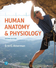 Title: Human Anatomy & Physiology / Edition 2, Author: Erin Amerman